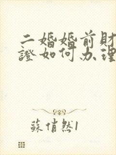 二婚婚前财产公证如何办理