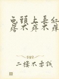 龟头上长红色疙瘩不疼不痒