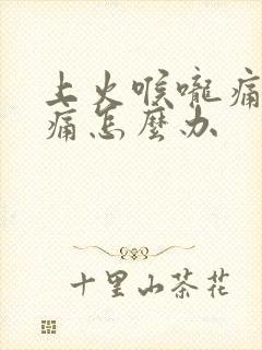 上火喉咙痛耳朵痛怎么办封面