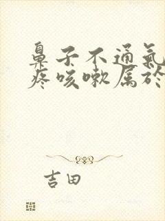 鼻子不通气嗓子疼咳嗽属于什么感冒