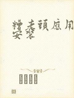 糟老头应用下载安装