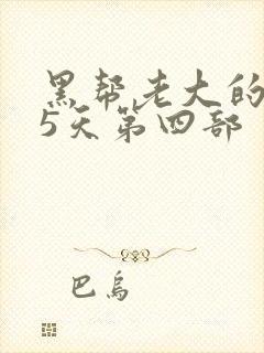 黑帮老大的365天第四部