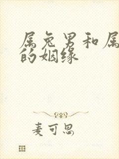 属兔男和属龙女的姻缘