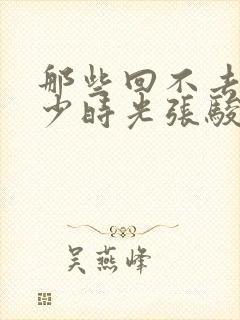 那些回不去的年少时光张骏