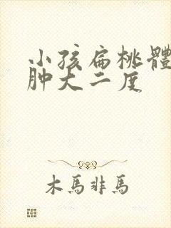 小孩扁桃体腺体肿大二度