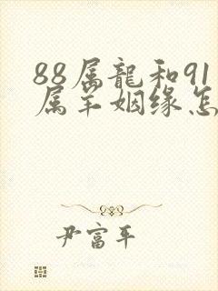 88属龙和91属羊姻缘怎么样