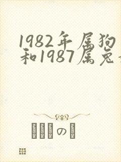 1982年属狗和1987属兔婚姻怎么样