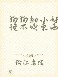 狗狗细小好了以后不吃东西怎么办