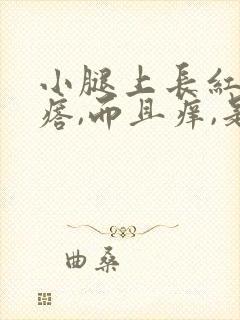 小腿上长红色疙瘩,而且痒,是什么毛病