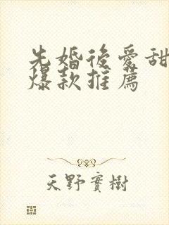 先婚后爱甜宠剧爆款推荐封面