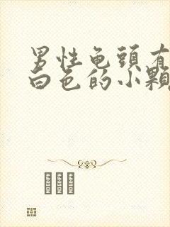 男性龟头有一圈白色的小颗粒封面