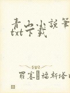 青山小说笔趣阁txt下载