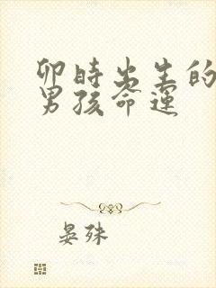 卯时出生的属鼠男孩命运