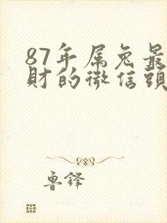 87年属兔最旺财的微信头像