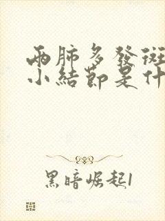 两肺多发斑点微小结节是什么意思