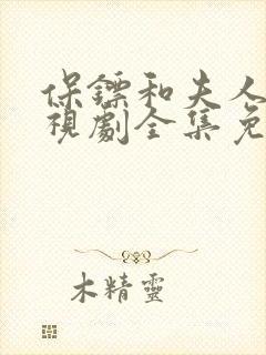 保镖和夫人的电视剧全集免费观看