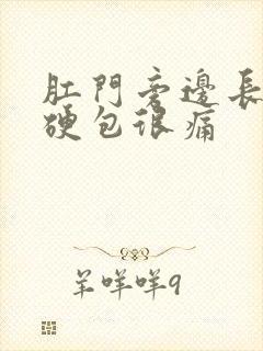 肛门旁边长了个硬包很痛封面