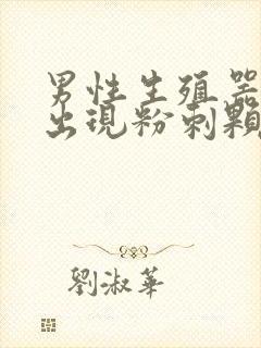 男性生殖器根部出现粉刺颗粒