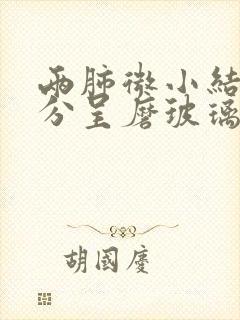 两肺微小结节部分呈磨玻璃样