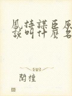 凤持谋臣原著小说叫什么名字封面