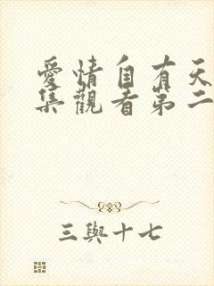 爱情自有天意全集观看第二季