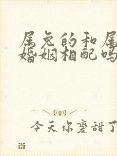 属兔的和属虎的婚姻相配吗