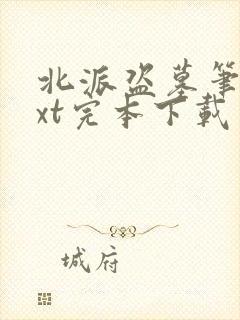 北派盗墓笔记txt完本下载