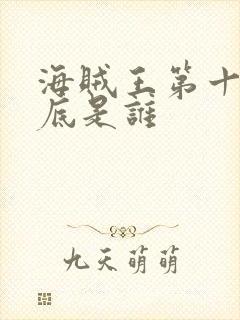 海贼王第十人到底是谁