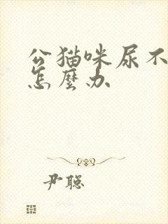 公猫咪尿不出来怎么办