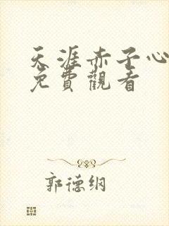 天涯赤子心全集免费观看