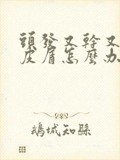 头发又干又有头皮屑怎么办封面