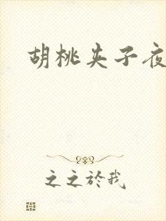 胡桃夹子夜未眠