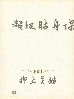 超级贴身保镖封面