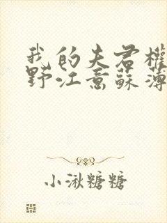 我的夫君权倾朝野江意苏薄