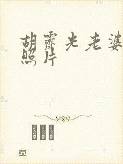 胡霁光老婆王静照片