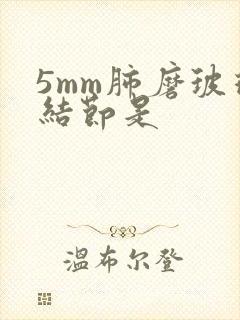 5mm肺磨玻璃结节是