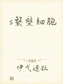 s系双细胞