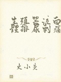 生殖器流白色液体排尿刺痛