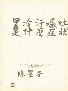 冒冷汗呕吐头晕是什么症状