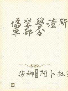 伪装学渣所有开车部分