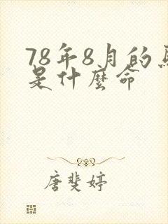 78年8月的马是什么命