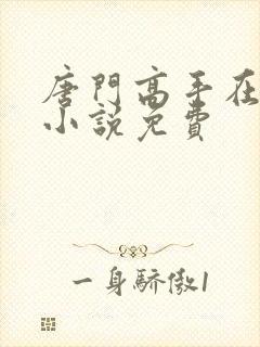 唐门高手在异世小说免费