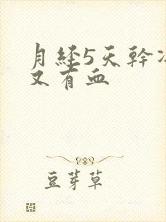 月经5天干净后又有血