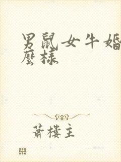 男鼠女牛婚姻怎么样