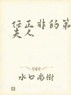 任正非的第一任夫人