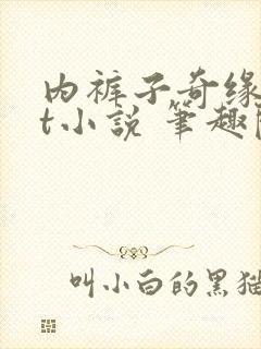 内裤子奇缘txt小说 笔趣阁