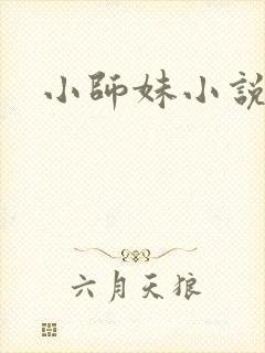 小师妹小说