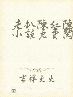 老扒陈红陈法蓉小说免费阅读