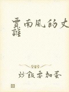 贾南风的丈夫是谁