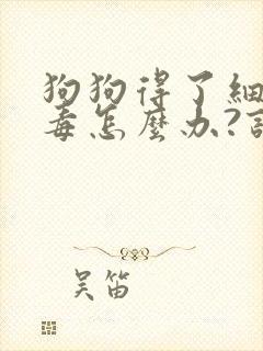 狗狗得了细小病毒怎么办?该如何治疗?